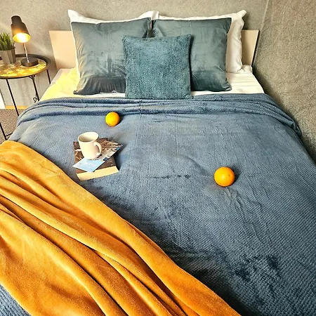 Classic Charm In Old Town With Cathedral Views 公寓 *