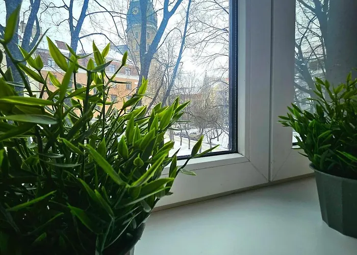 公寓 Classic Charm In Old Town With Cathedral Views